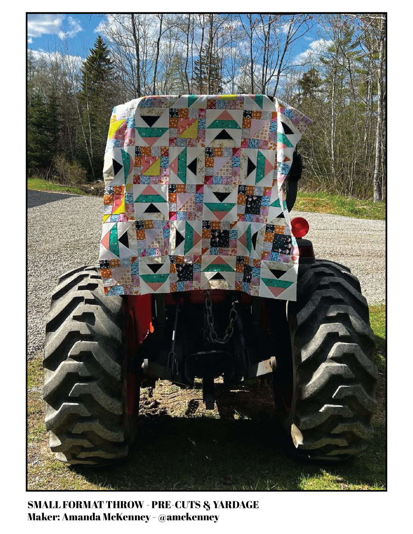 Mama Bird Quilt (Small Format)