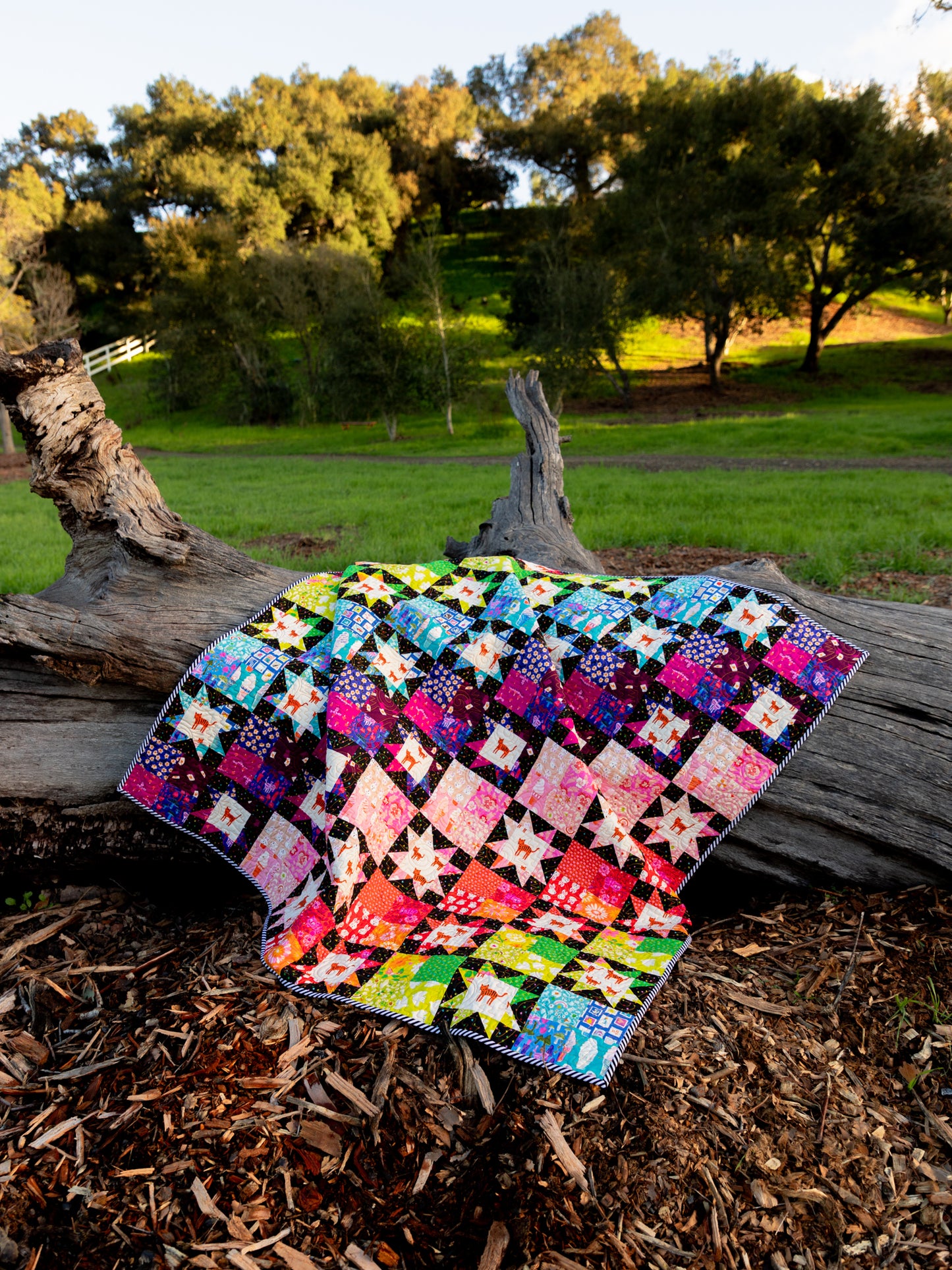 Fussy Cat Quilt Pattern (PDF)